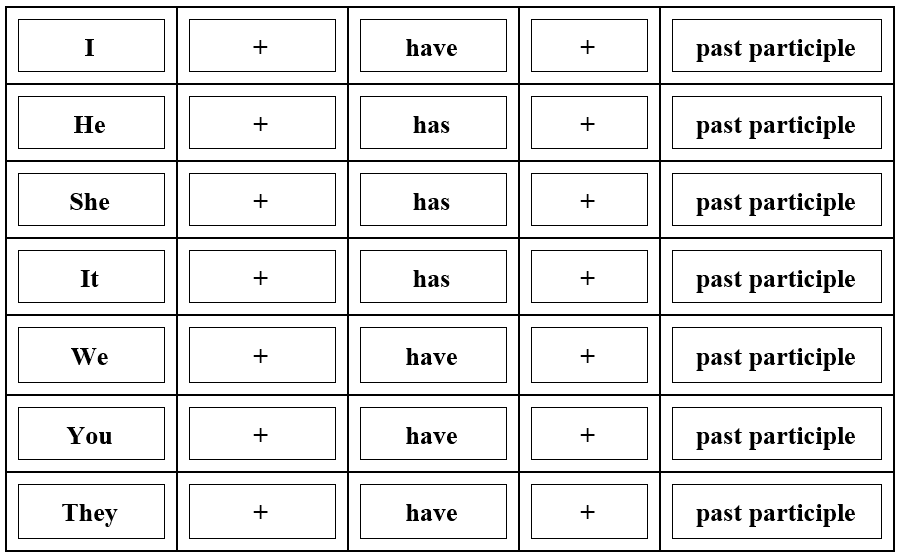 المضارع البسيط في اللغة الانجليزية Present Simple